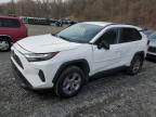 2024 Toyota Rav4 Xle for Sale in Marlboro, NY - Front End