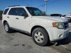 2009 Ford Escape Xlt for Sale in Lebanon, TN - Hail