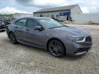 2019 Acura Tlx Technology იყიდება Louisville-ში, KY - Rear End