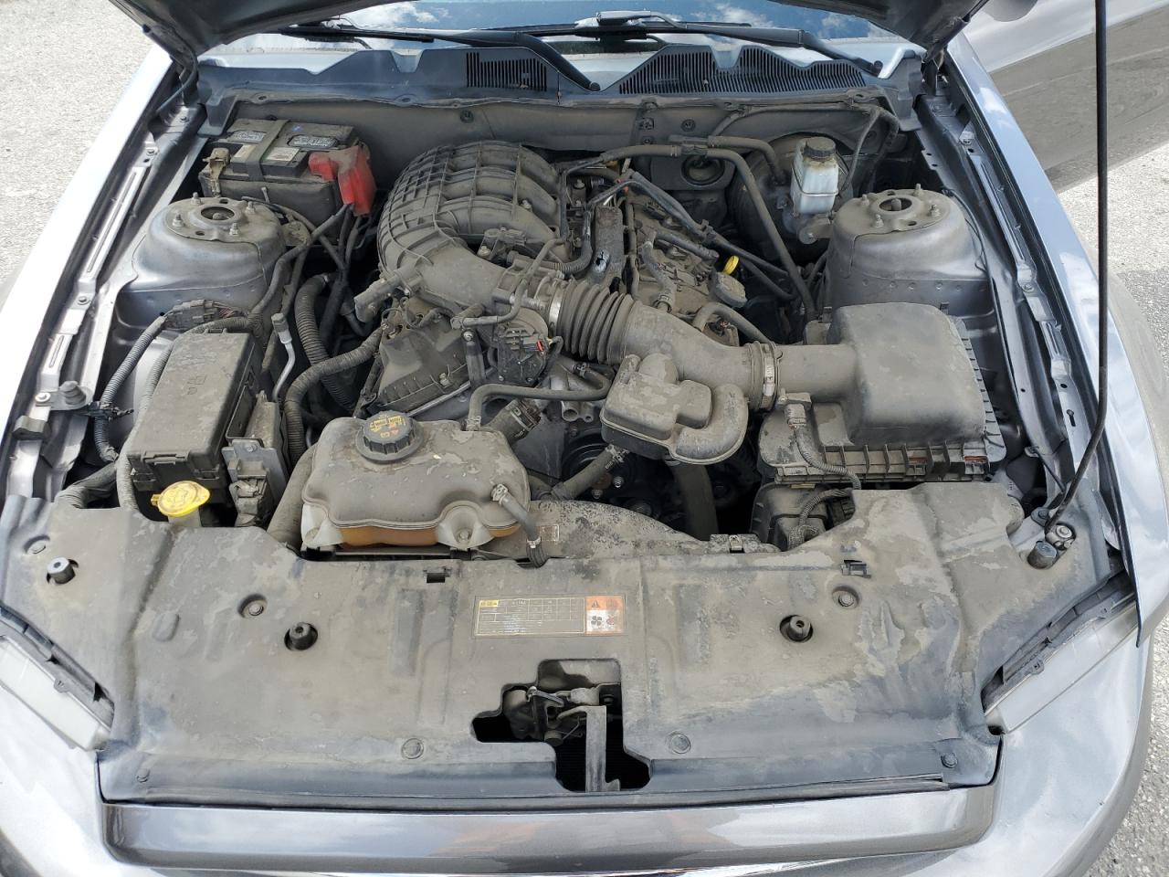 2014 Ford Mustang VIN: 1ZVBP8AM3E5207882 Lot: 51511195