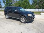 2012 Ford Escape Xlt   for Sale in Ocala, FL - Rear End