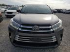 2017 Toyota Highlander Limited на продаже в Earlington, KY - Hail