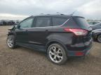 2013 Ford Escape Titanium იყიდება Elgin-ში, IL - Front End