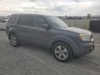 2015 Honda Pilot Exln продається в Earlington, KY - Hail