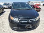 2014 Honda Odyssey Exl zu verkaufen in Cahokia Heights, IL - Hail