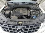 2013 Mercedes-Benz Ml 350 4Matic на продаже в Earlington, KY - Hail