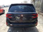 2025 Honda Odyssey Exl for Sale in Cicero, IN - Front End
