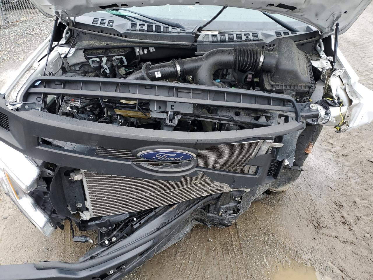 2019 Ford F150 VIN: 1FTMF1CP0KKF11018 Lot: 51950135