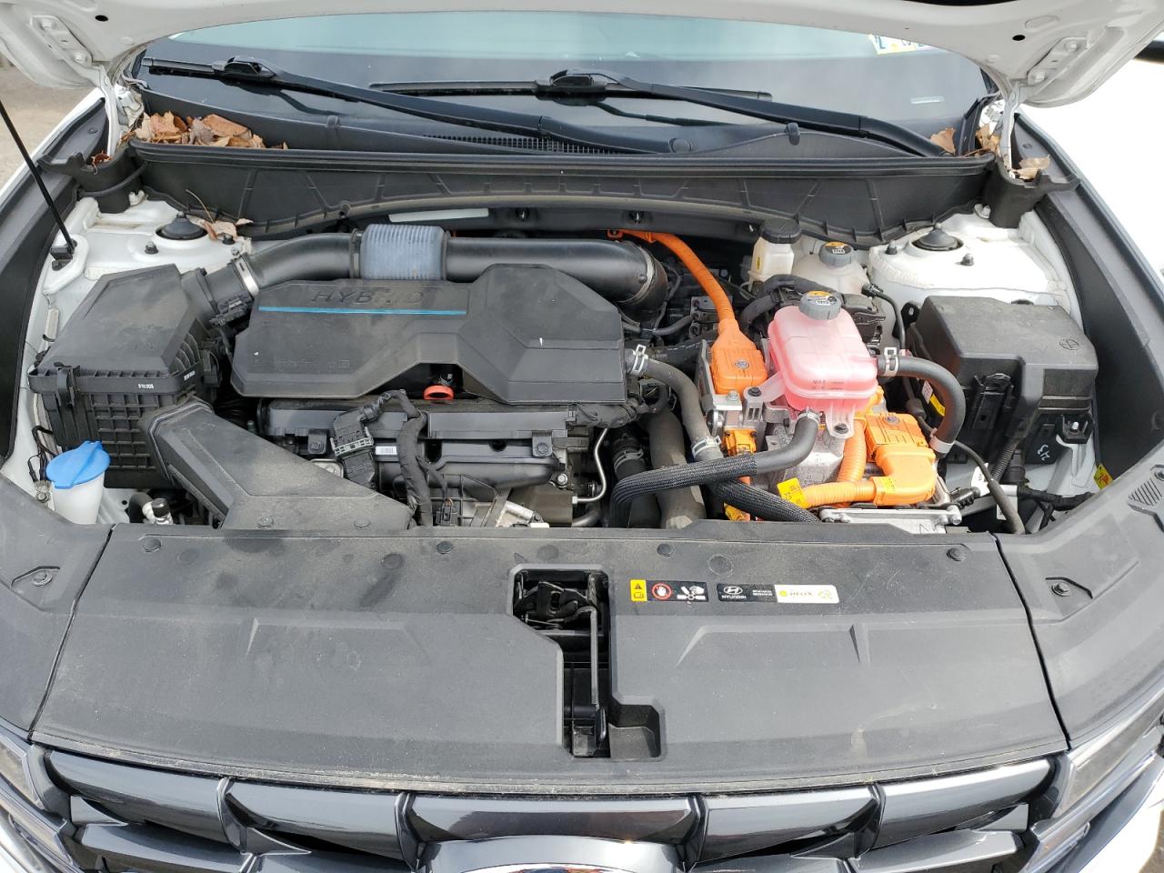 2022 Hyundai Tucson Blue VIN: KM8JBCA18NU010925 Lot: 51810735