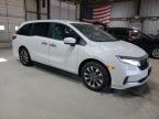 2024 Honda Odyssey Exl for Sale in Rogersville, MO - Minor Dent/Scratches