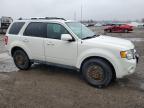 2010 FORD ESCAPE LIMITED for sale at Copart ON - LONDON