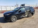 2021 TOYOTA HIGHLANDER L à vendre chez Copart ON - LONDON