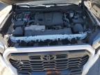 2025 Toyota Tundra Crewmax Limited на продаже в Las Vegas, NV - Vandalism