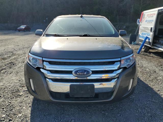 Паркетники FORD EDGE 2014 Сірий