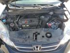 2011 Honda Cr-V Lx للبيع في Littleton، CO - Rear End