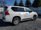 2011 Lexus Gx 460 продається в Albany, NY - Rear End