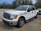 2011 FORD F150 SUPERCREW à vendre chez Copart ON - COOKSTOWN
