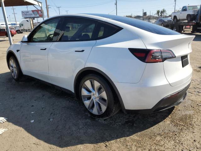  TESLA MODEL Y 2023 Biały