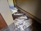 2014 Outback Trailer for Sale in Franklin, WI - Partial Repair