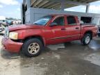 2007 Dodge Dakota Quad Slt en Venta en West Palm Beach, FL - Front End