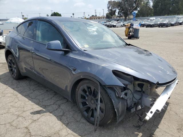  TESLA MODEL Y 2023 Szary