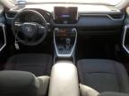 2024 Toyota Rav4 Xle zu verkaufen in San Antonio, TX - Front End