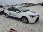 2024 Toyota Corolla Le на продаже в Taylor, TX - Rear End