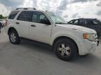 2009 Ford Escape Xlt de vânzare în Lebanon, TN - Front End