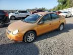 2005 Dodge Neon Sxt for Sale in Riverview, FL - Front End