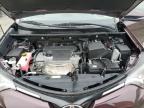 2016 Toyota Rav4 Xle for Sale in Van Nuys, CA - Minor Dent/Scratches