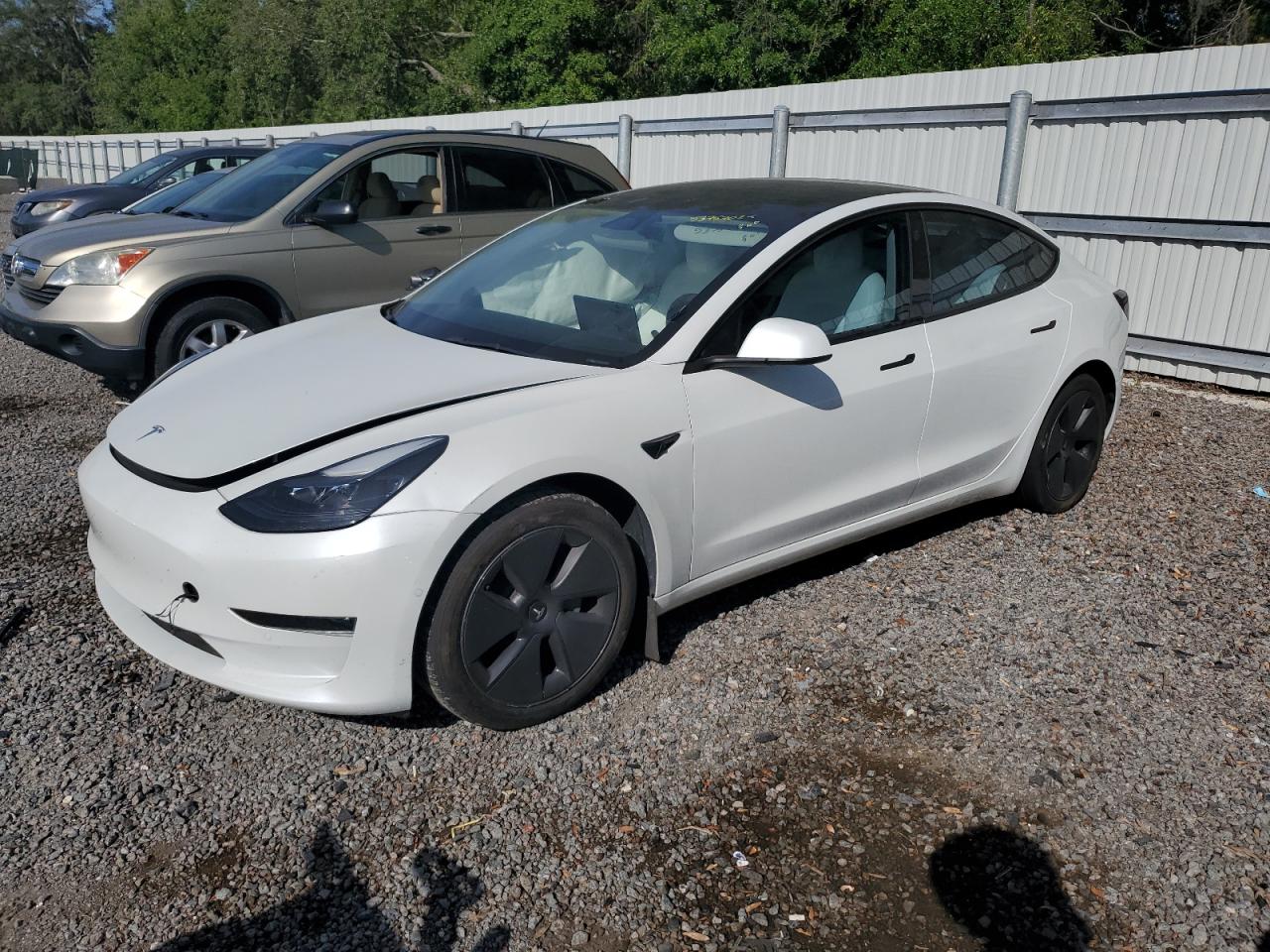 2022 Tesla Model 3 for Sale in Riverview, FL - Side