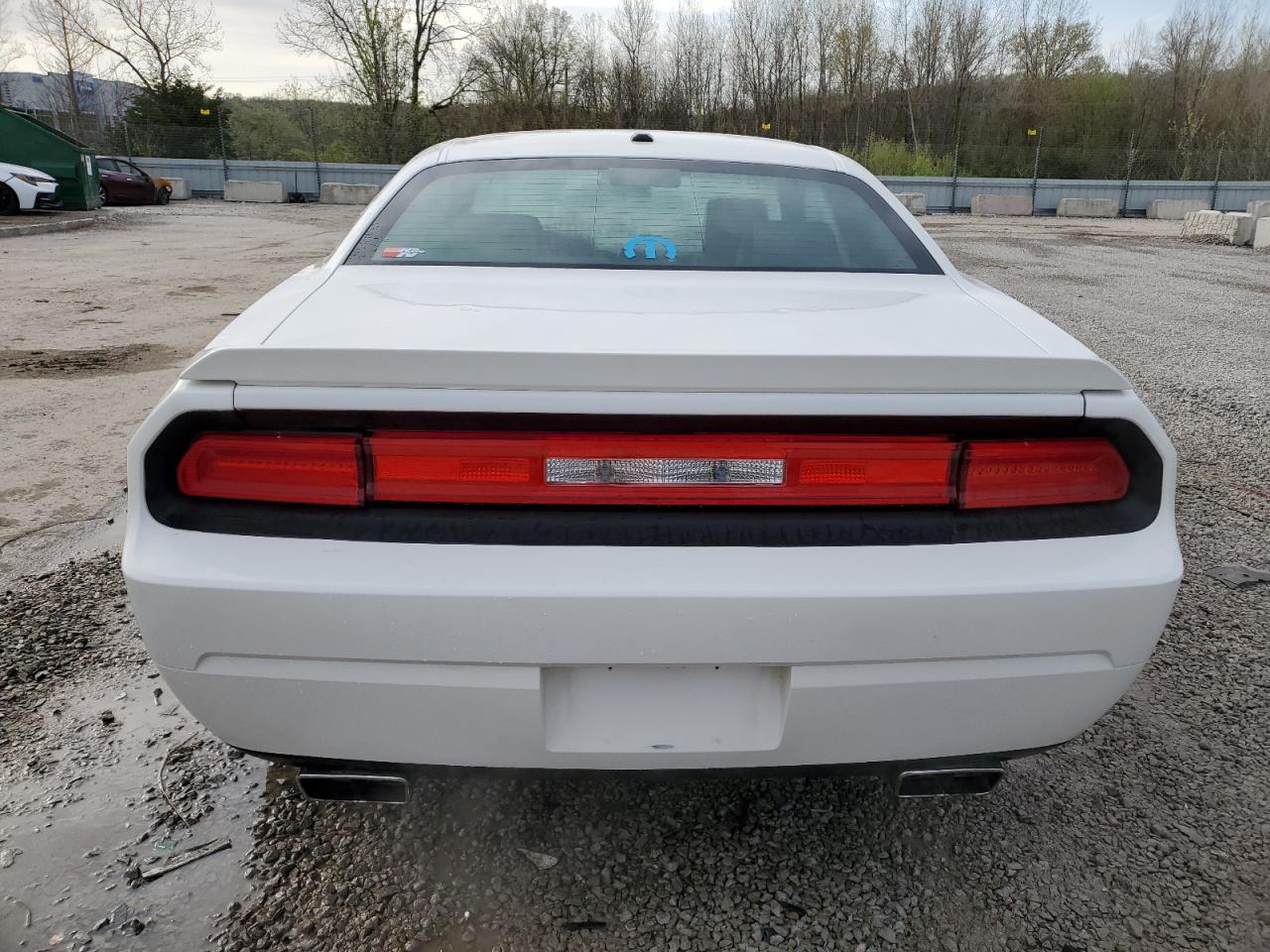 2010 Dodge Challenger R/T VIN: 2B3CJ5DT7AH189031 Lot: 51335745