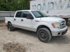 2013 Ford F150 Supercrew на продаже в Midway, FL - Rear End