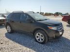 2014 Ford Edge Sel for Sale in Temple, TX - Hail