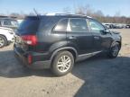 2014 Kia Sorento Lx للبيع في Assonet، MA - Front End