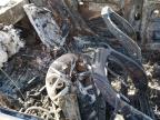 Grenada, MS에서 판매 중인 2023 Hyundai Sonata Sel - Burn