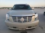 2010 Cadillac Escalade Esv Premium продається в Wilmer, TX - Hail