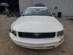 2005 Ford Mustang  for Sale in Jacksonville, FL - Front End
