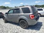 2010 Ford Escape Xlt for Sale in Apopka, FL - Front End