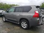 2011 Lexus Gx 460 на продаже в Waldorf, MD - Front End
