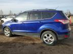 2015 FORD ESCAPE SE à vendre chez Copart AB - CALGARY