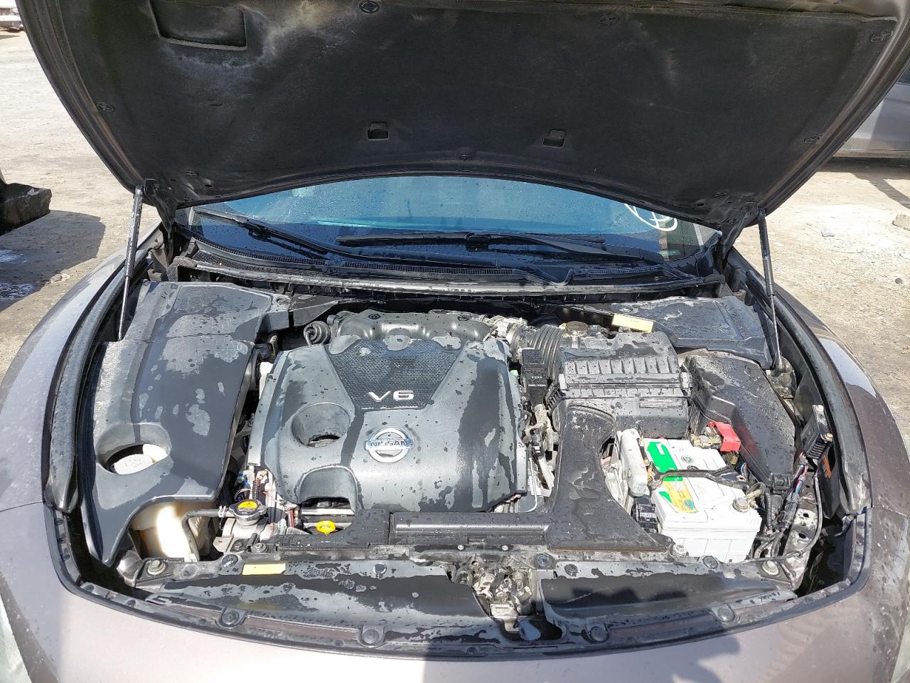 1N4AA5AP4FC376367 - 2015 Nissan MAXIMA - #undefined