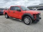 2013 Ford F150 Supercrew на продаже в Earlington, KY - Front End