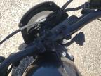 2023 Honda Cmx500  for Sale in Greenwell Springs, LA - All Over