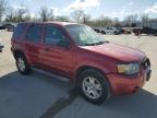 2007 Ford Escape Xlt zu verkaufen in Bridgeton, MO - Hail