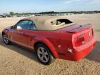 2009 Ford Mustang  იყიდება San Antonio-ში, TX - Hail
