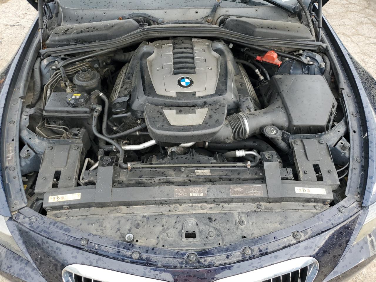 2006 BMW 650 I VIN: WBAEK13426CN80120 Lot: 54787015