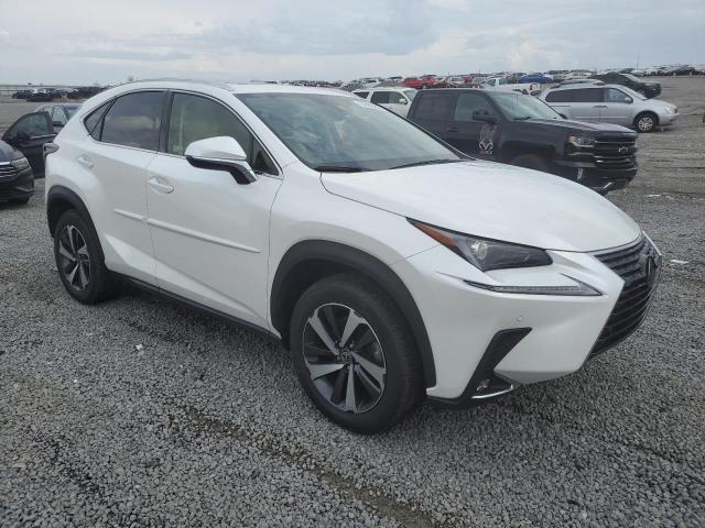  LEXUS NX 2020 Biały