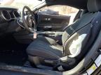 2019 Ford Mustang  for Sale in Marlboro, NY - Side