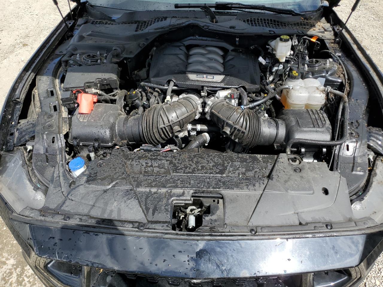 VIN: 1FA6P8CF7R5428738 2024 FORD MUSTANG